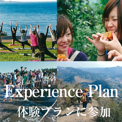 Experience Plan