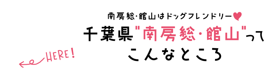 千葉県”南房総市・館山”ってこんなところ