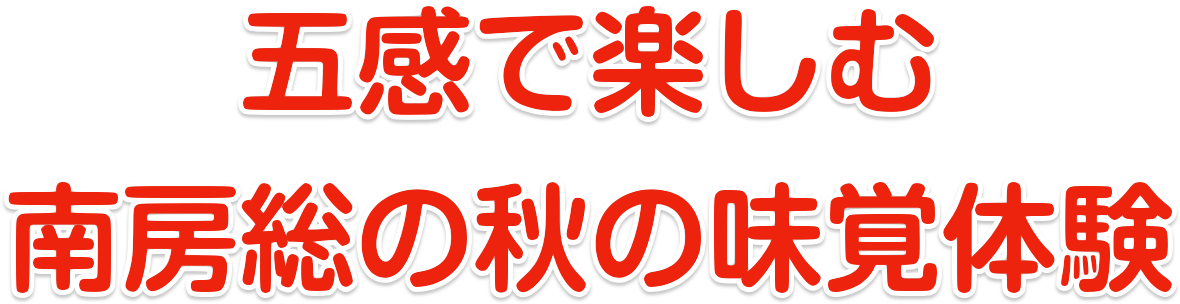 五感で楽しむ 南房総の秋の味覚体験