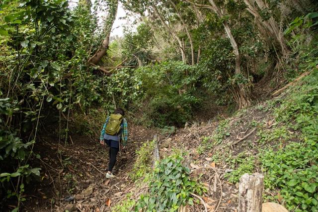 戦前からこの登山道は存在したようです