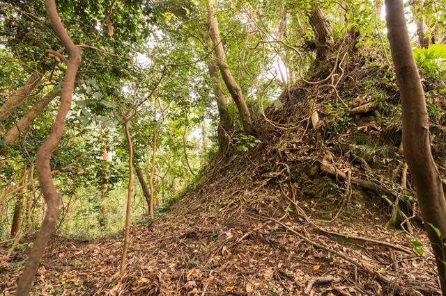 ついに荒々しいお城の遺構が姿を現しました