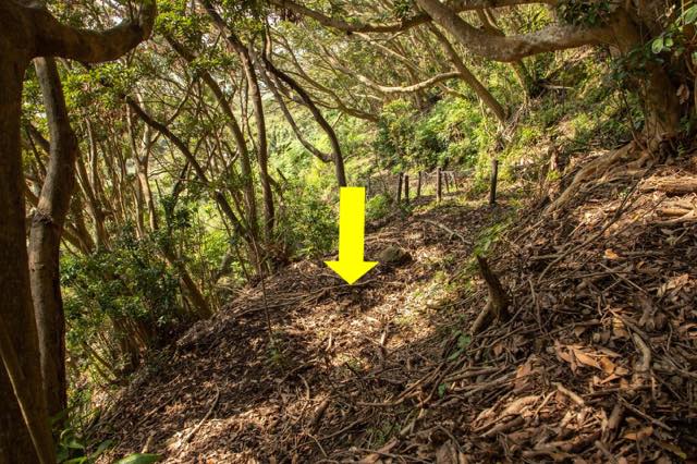 登山道から少し奥を見てみると、不自然な平場が点在します