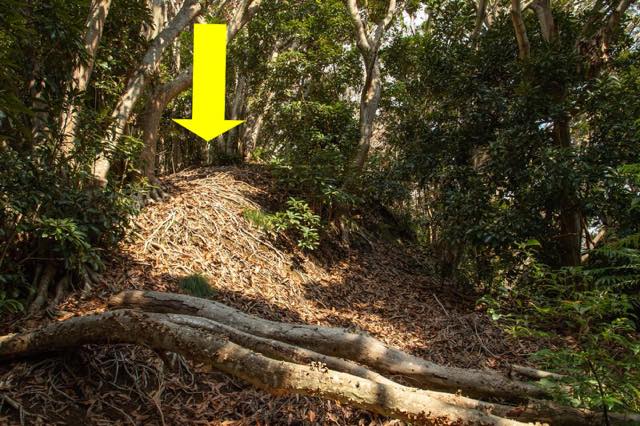 矢印の土の塊が「土塁」です