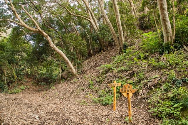 岩盤の切通しを登り切ると、このように開けた場所に出ます