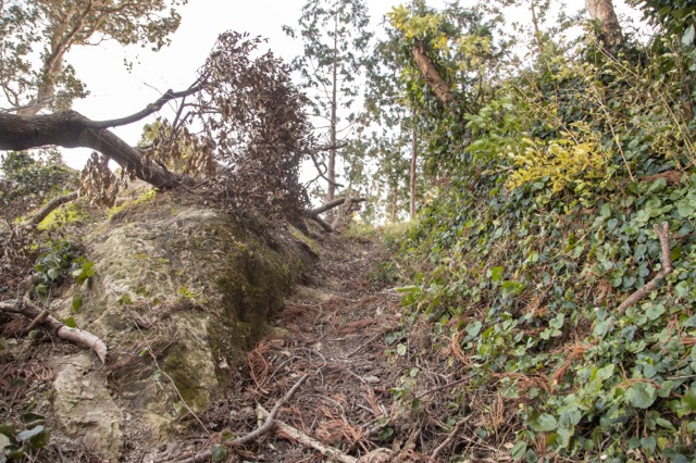 人工的に岩盤を削った階段状の登城路。お城の遺構でしょうか？