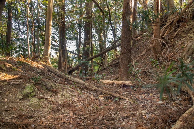 山頂部にある主郭の直下に堀を入れています。