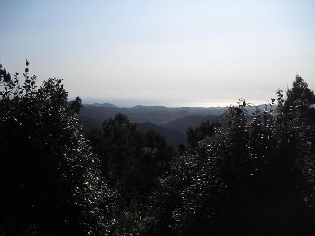 御殿山・大日山ハイキングコース