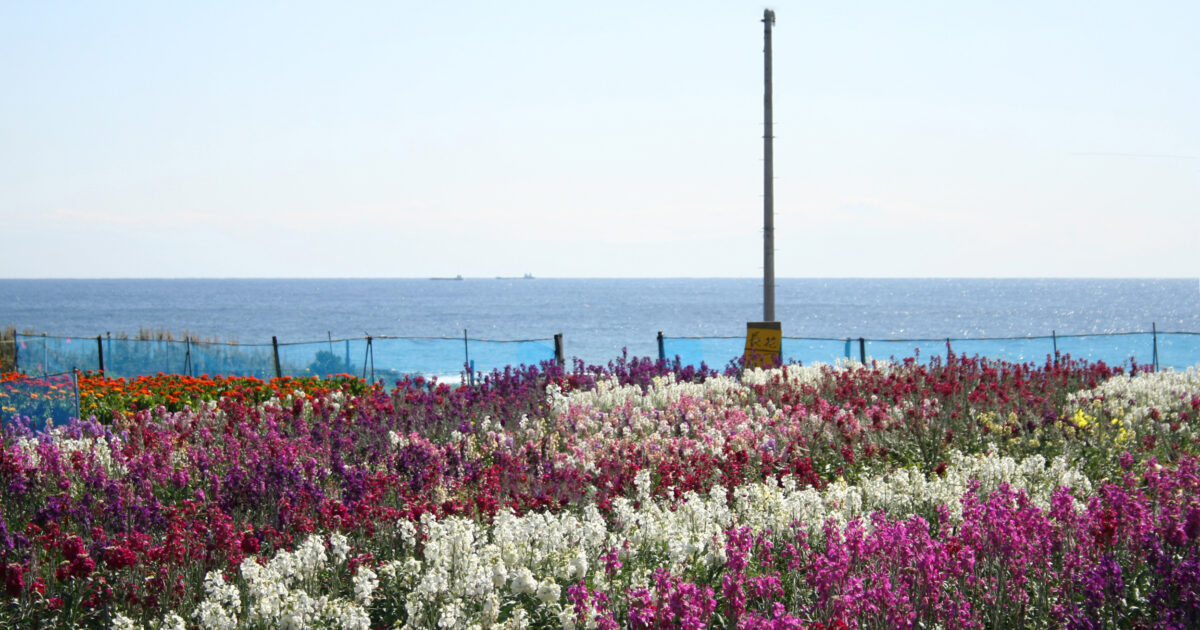 千倉里山遊歩道コース