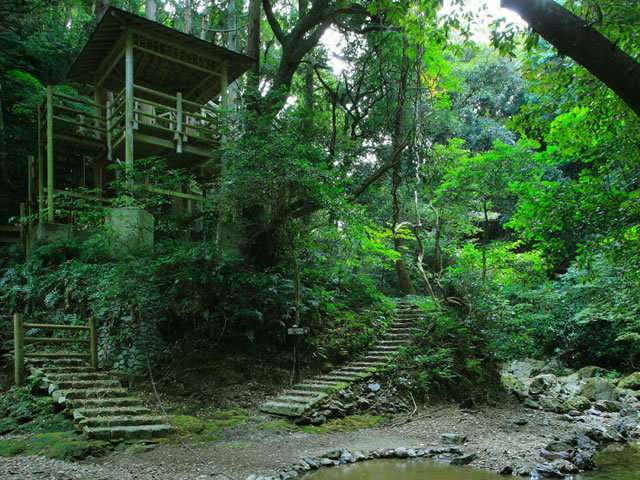 花嫁街道ハイキングコース