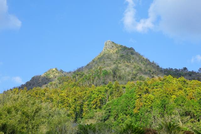 伊予ケ岳ハイキングコース