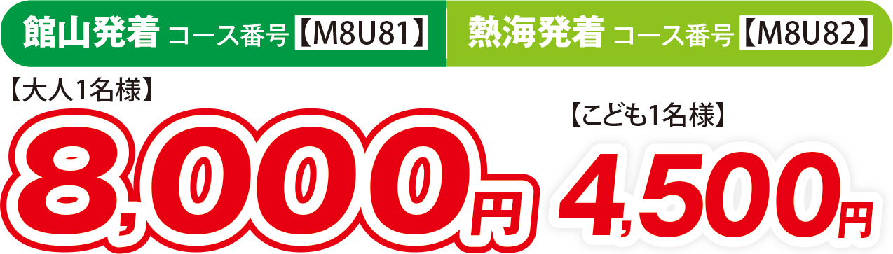 大人1名様8000円