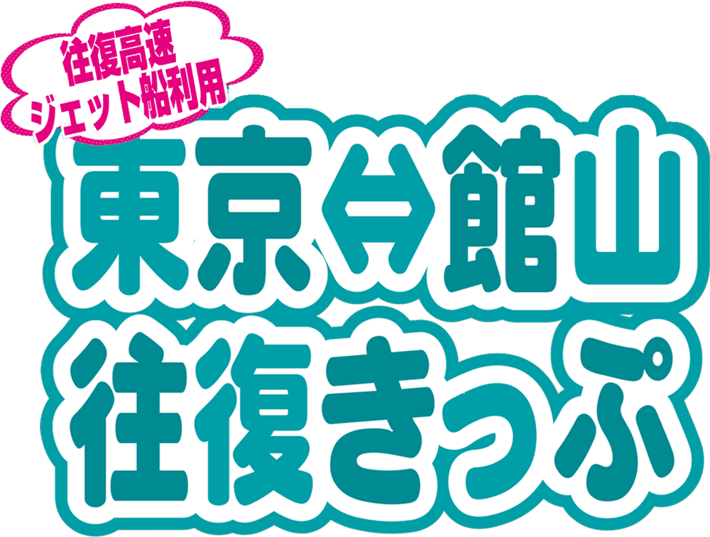 往復高速ジェット船利用　東京館山往復きっぷ