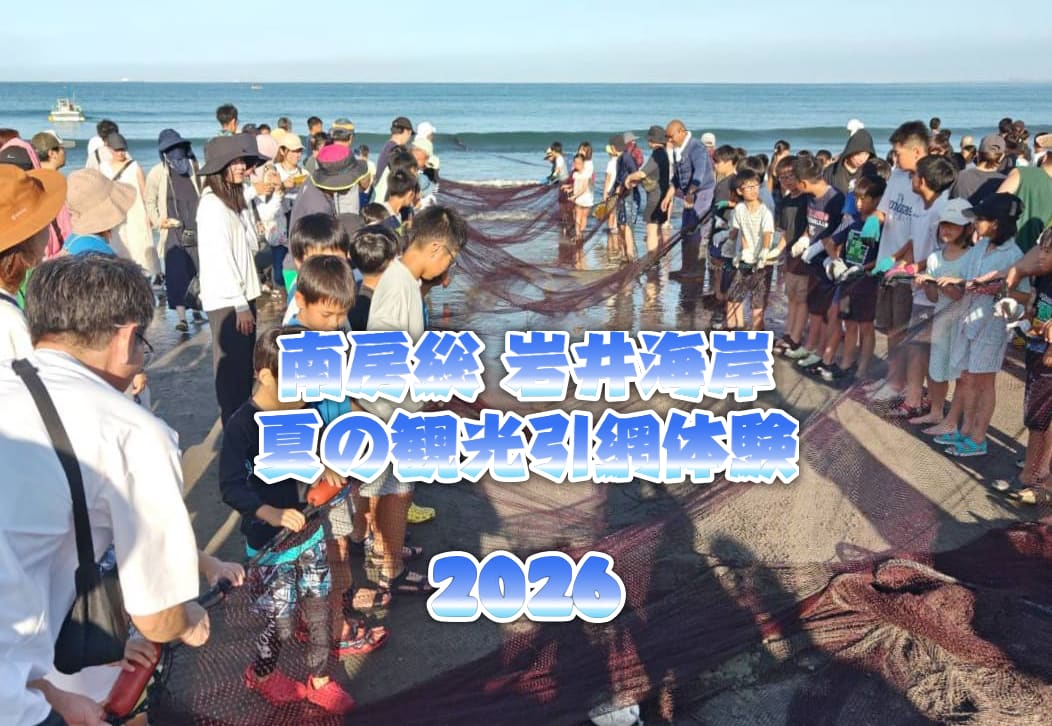 2026年 南房総 岩井海岸 夏の観光地引網体験