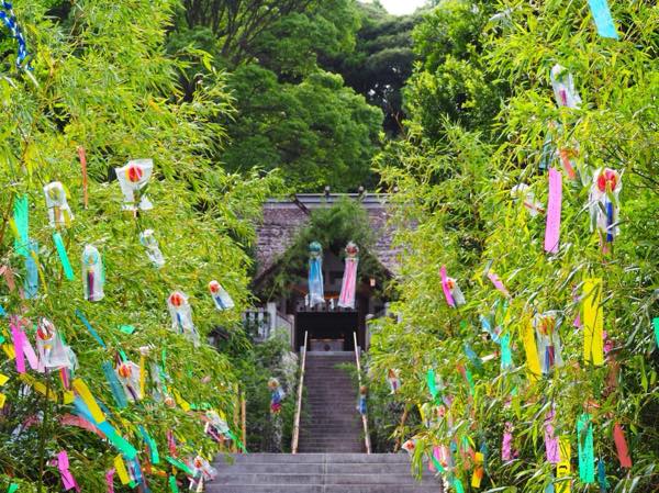 高家神社 涼詣で