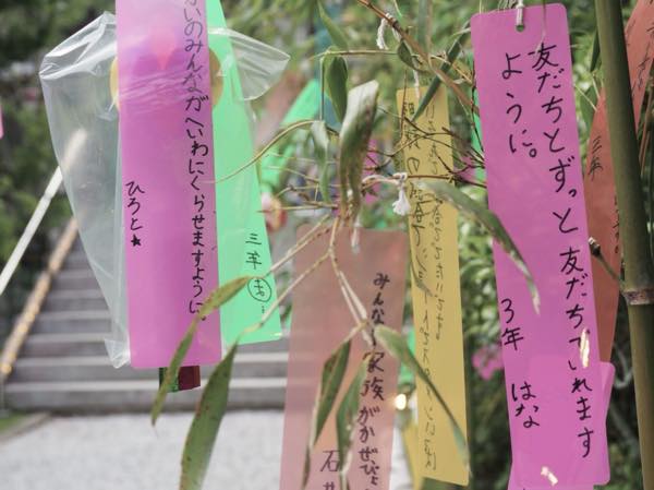 高家神社 涼詣で