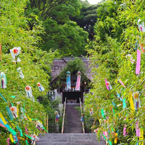 高家神社 涼詣で