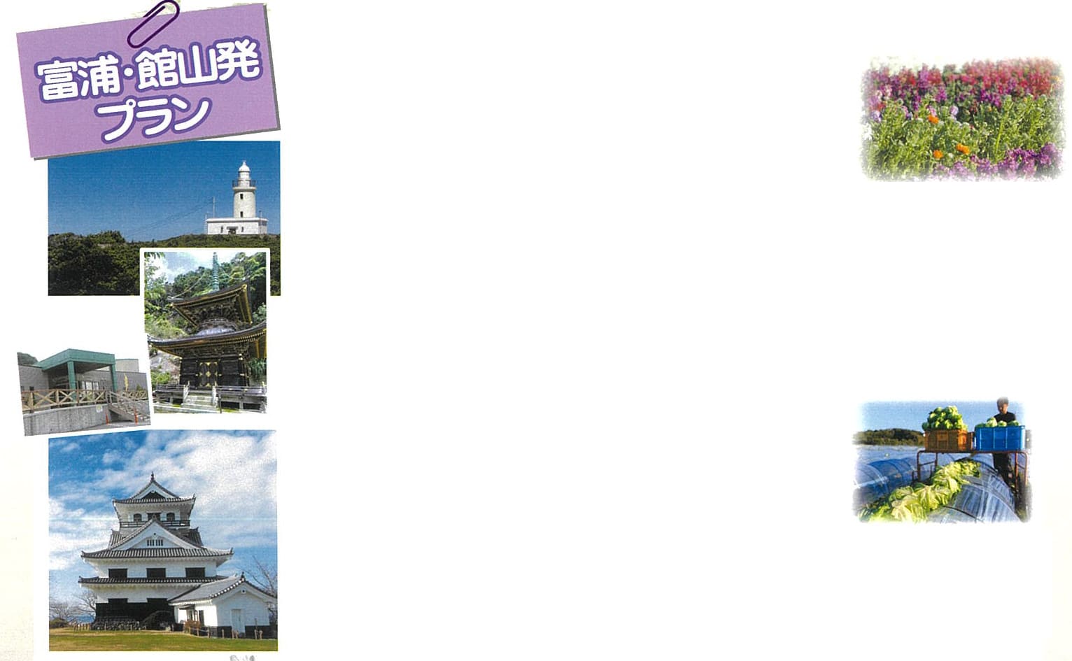 富浦・館山発プラン