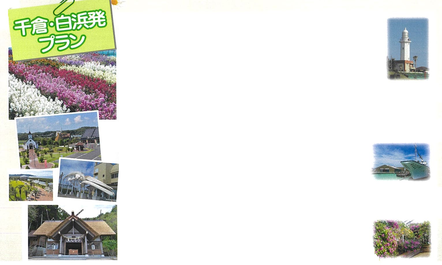 千倉・白浜発プラン
