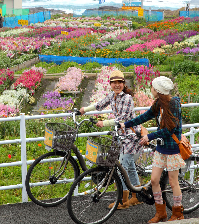 2017/11/13 レンタルサイクル くるくる車ららん - 一般社団法人 南房総 