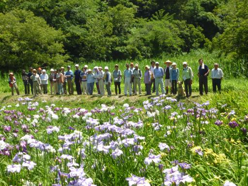 安馬谷里山研究会