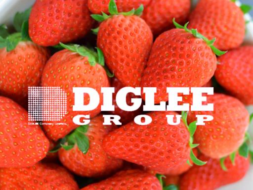株式会社DIGLEE(ディグリー)