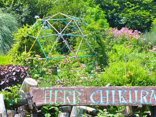 HERB CHIKURA  Seaside Garden