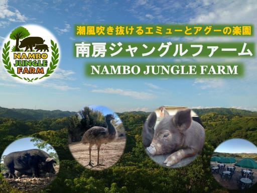 南房ジャングルファーム