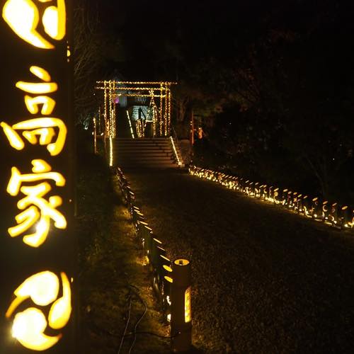 高家神社ライトアップ