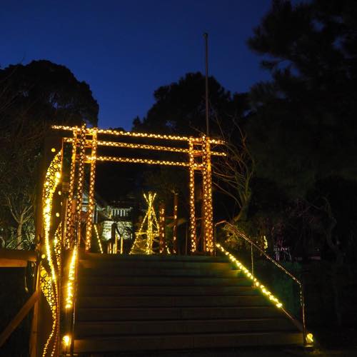 高家神社ライトアップ